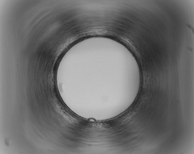 X0000100410439200806271447