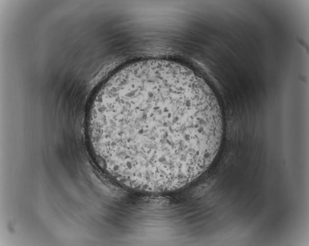 X0000100410443200806271447