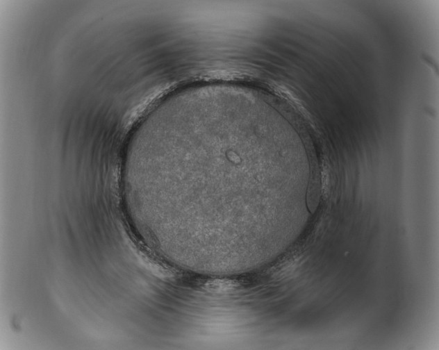 X0000100410444200806271447