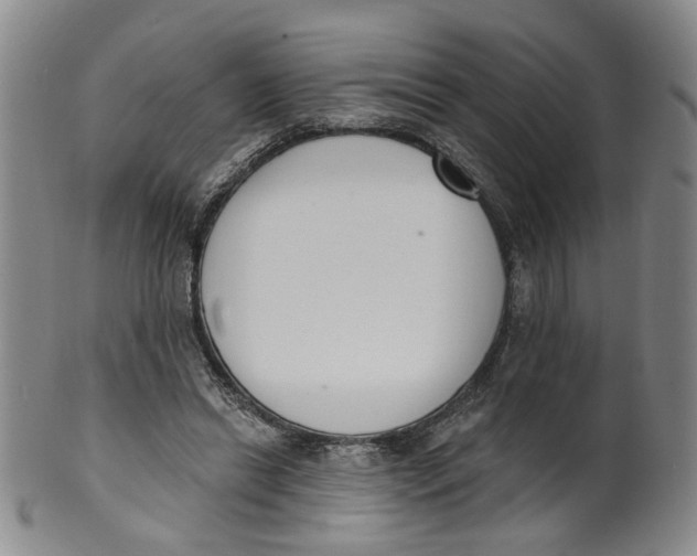 X0000100410446200806271447