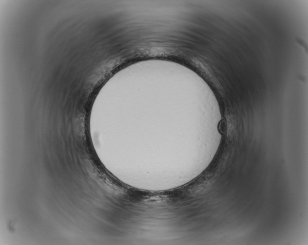 X0000100410447200806271447