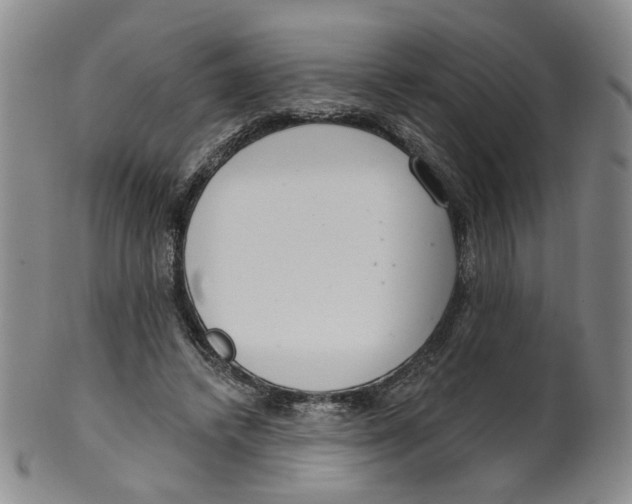 X0000100410448200806271447