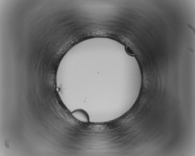 X0000100410449200806271447