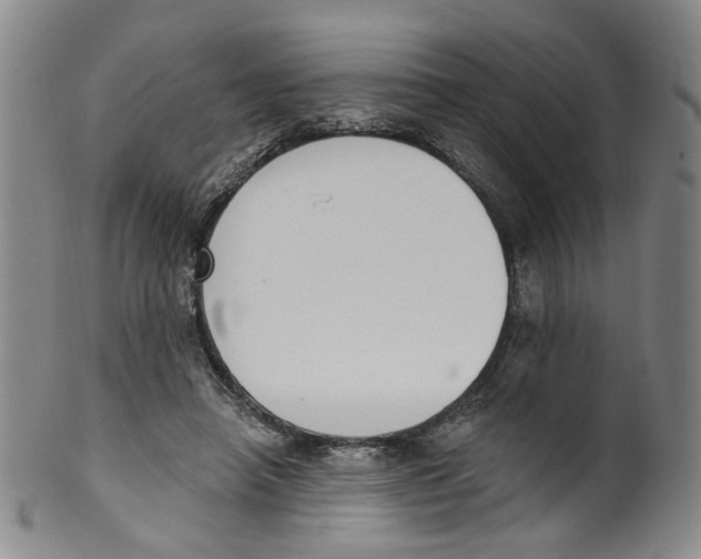 X0000100410450200806271447