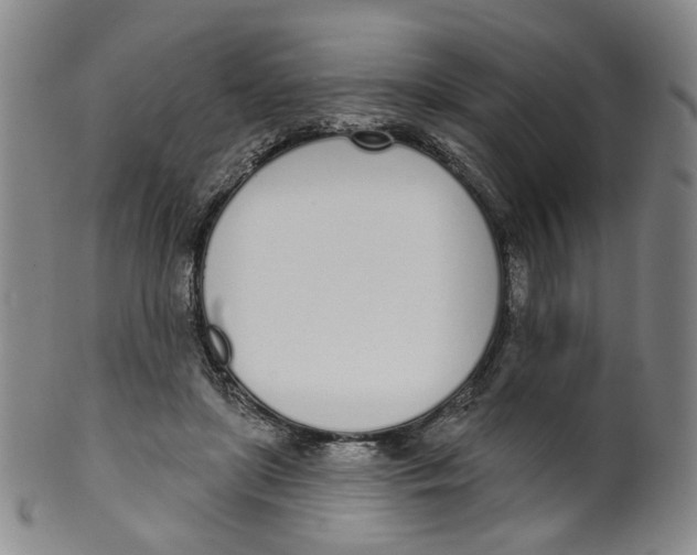 X0000100410451200806271447