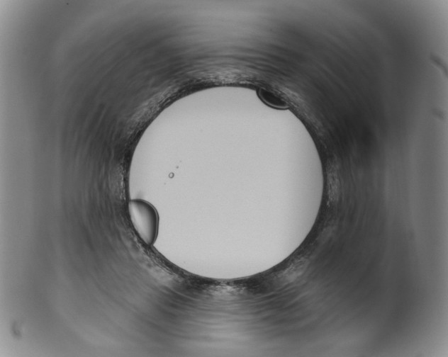 X0000100410453200806271447