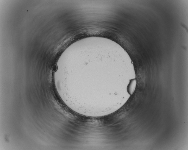 X0000100410454200806271447