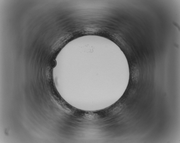 X0000100410455200806271447