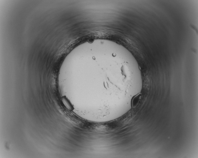 X0000100410456200806271447