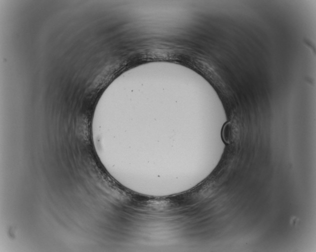 X0000100410457200806271447