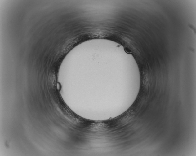 X0000100410459200806271447