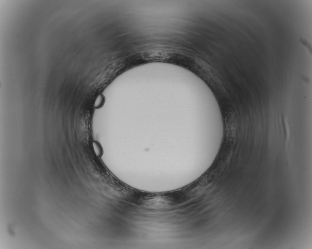 X0000100410460200806271447