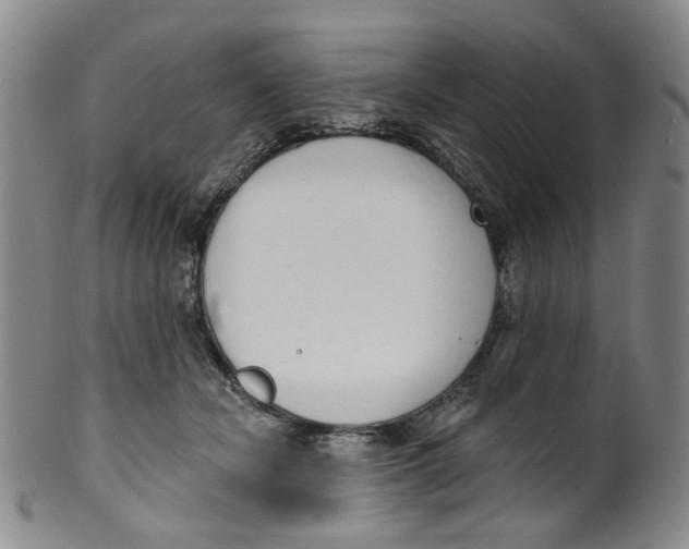 X0000100410462200806271447