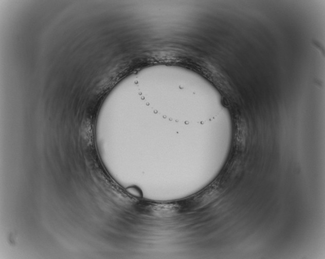 X0000100410465200806271448