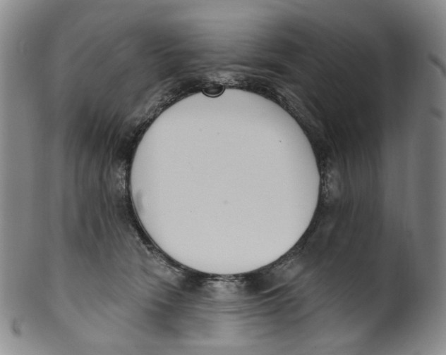 X0000100410466200806271448