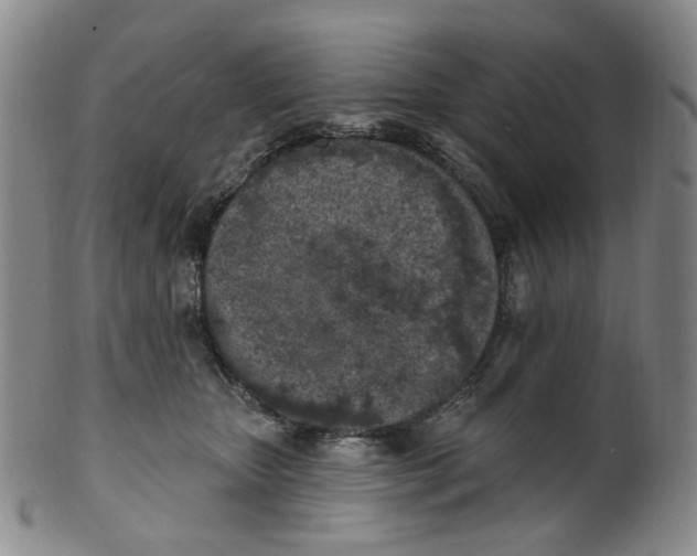 X0000100410467200806271448