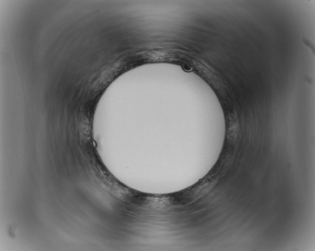 X0000100410469200806271448