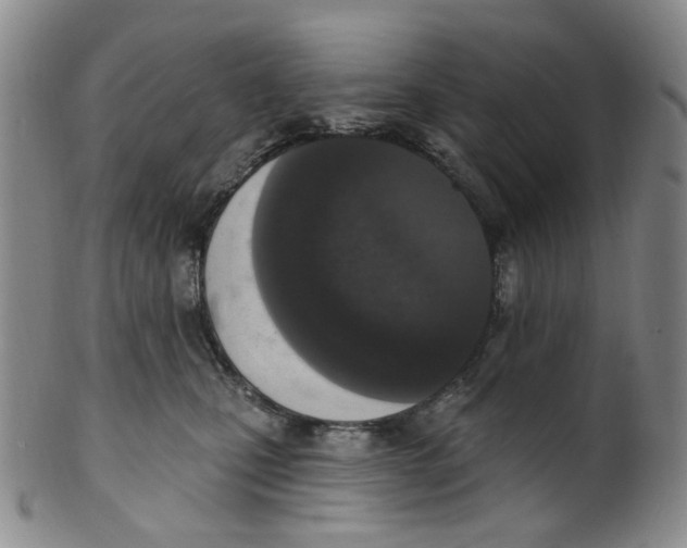 X0000100410471200806271448