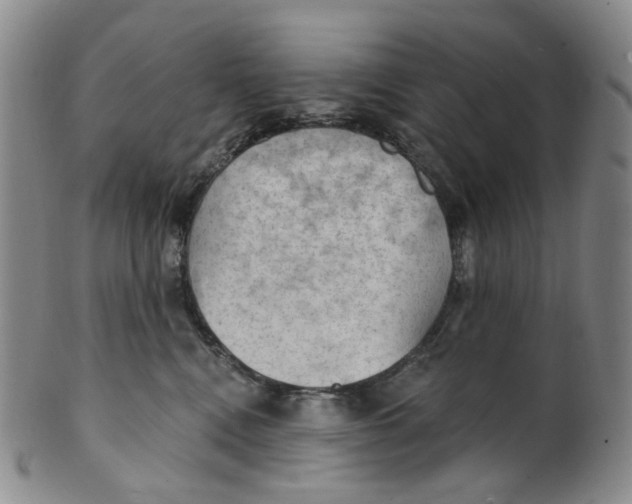 X0000100410472200806271448