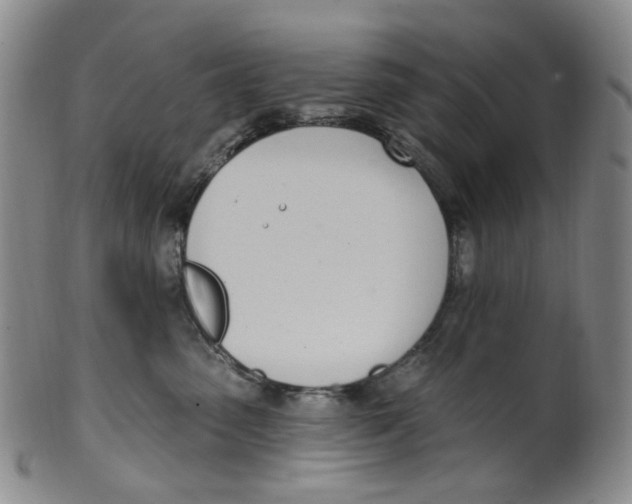 X0000100410475200806271448