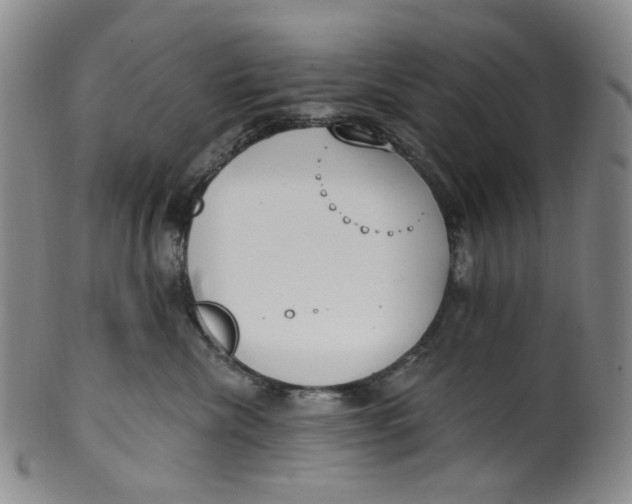 X0000100410476200806271448