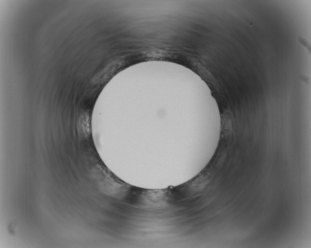 X0000100410479200806271448