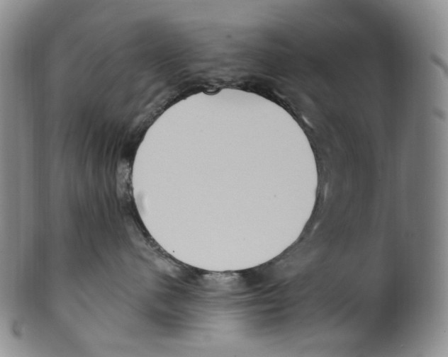 X0000100410480200806271448