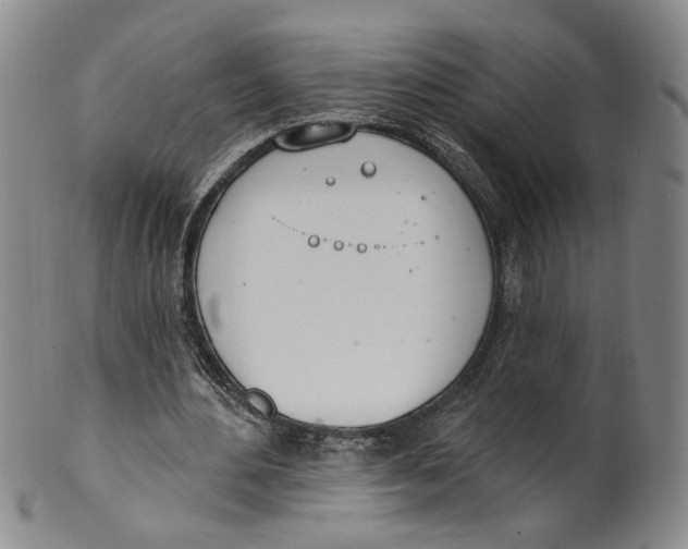 X0000100410484200806271447