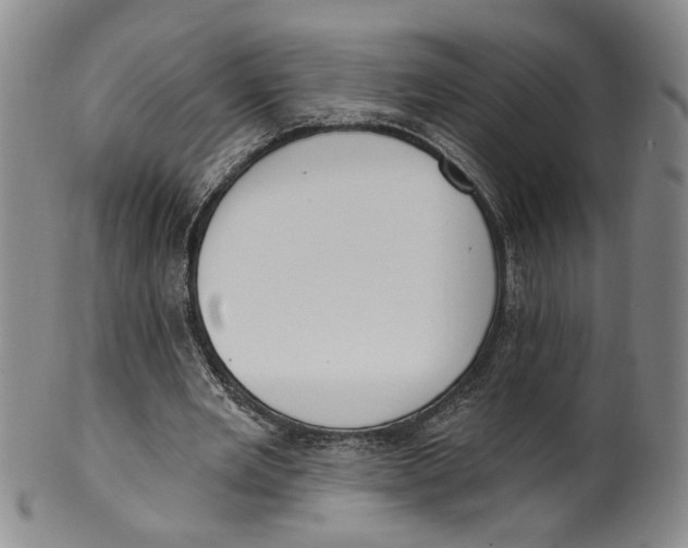 X0000100410485200806271447