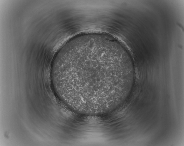 X0000100410487200806271447