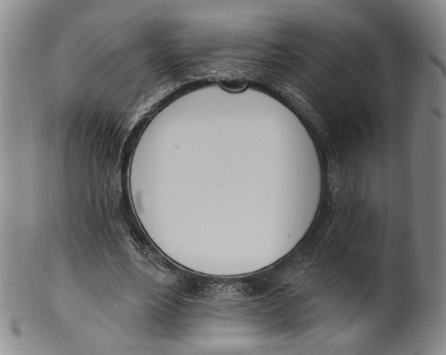 X0000100410488200806271447