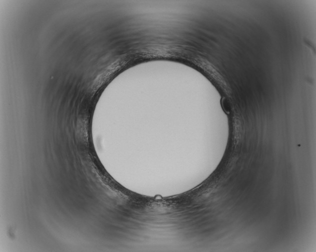 X0000100410489200806271447