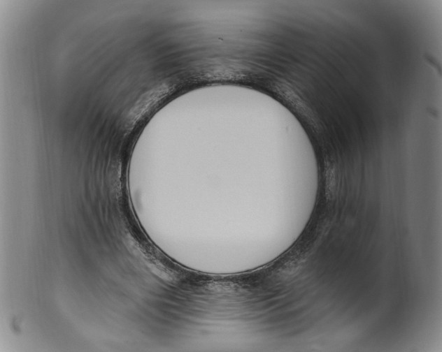 X0000100410490200806271447