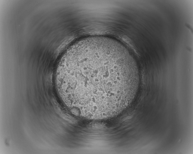 X0000100410491200806271447