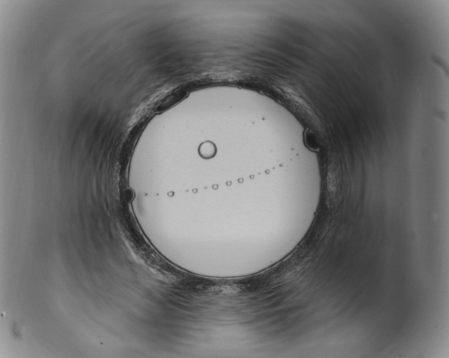 X0000100410492200806271447