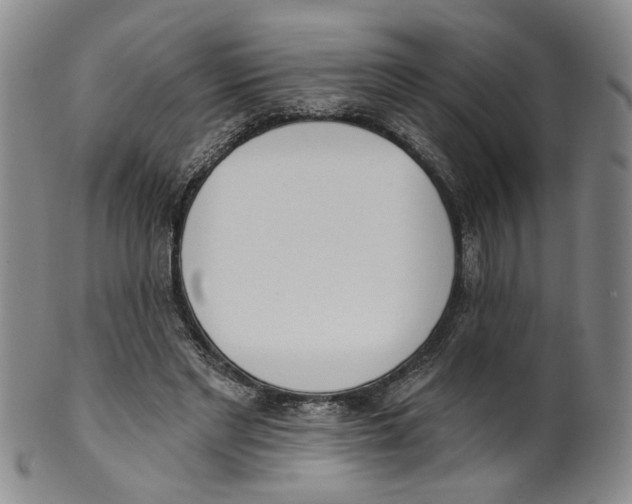 X0000100410493200806271447