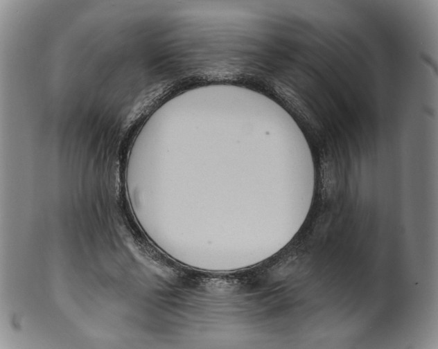 X0000100410494200806271447