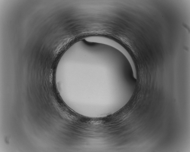 X0000100410495200806271447