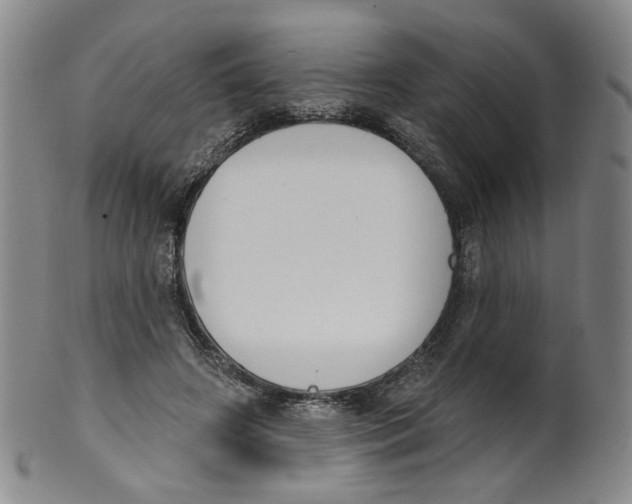 X0000100410498200806271447