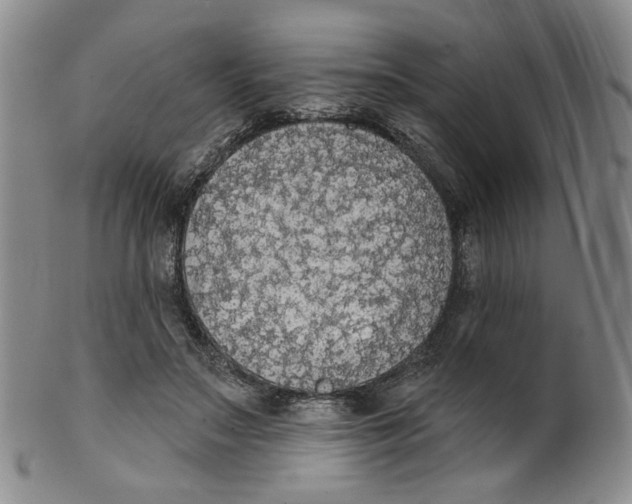 X0000100410499200806271447