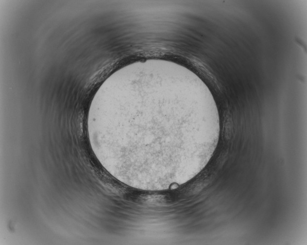 X0000100410501200806271447