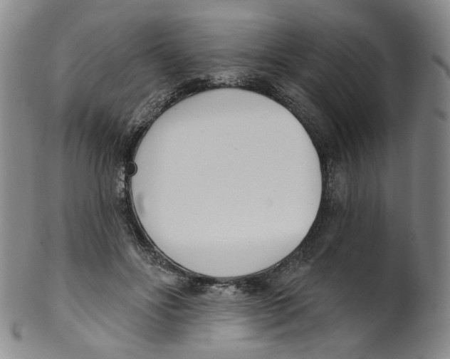 X0000100410502200806271447