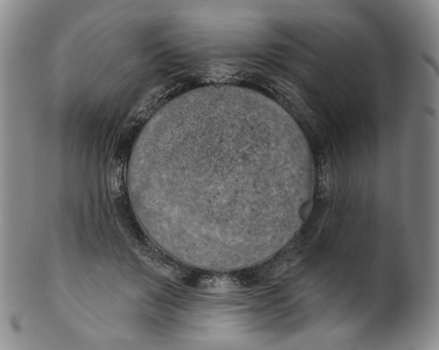 X0000100410503200806271447