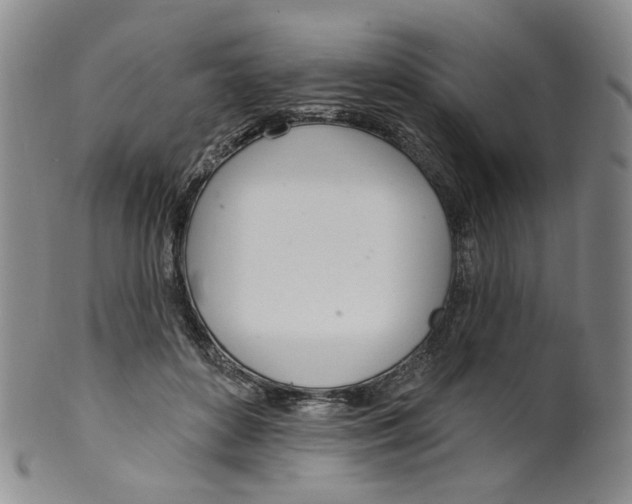 X0000100410504200806271447