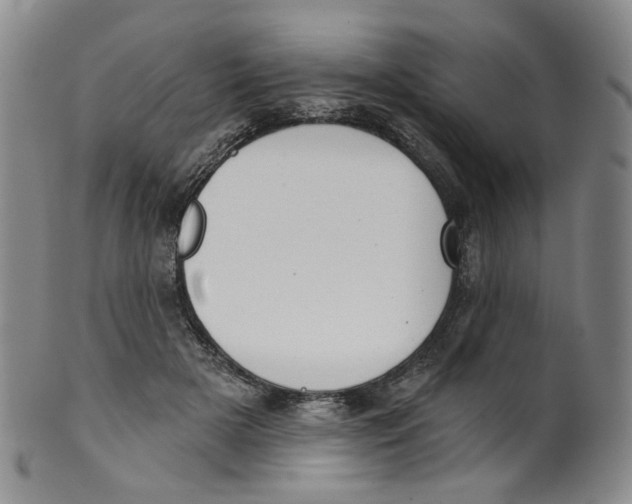 X0000100410505200806271447