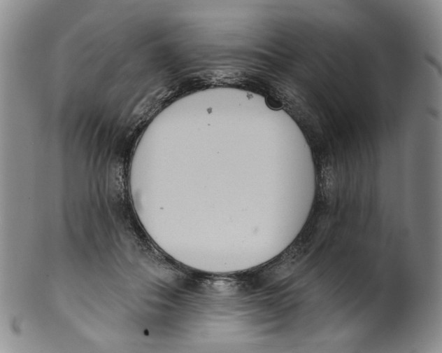 X0000100410506200806271447