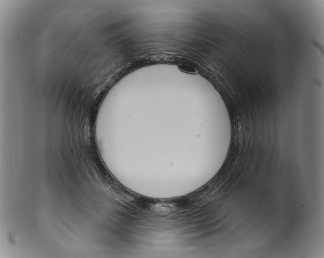 X0000100410508200806271447