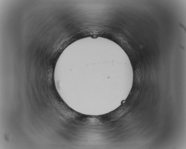 X0000100410509200806271447