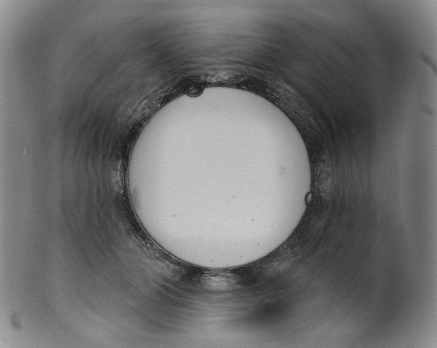 X0000100410510200806271447