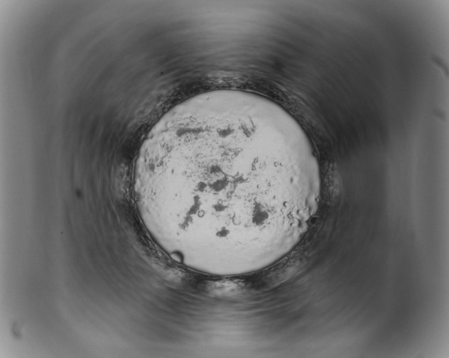 X0000100410511200806271446